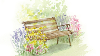 Thumbnail of post image 108